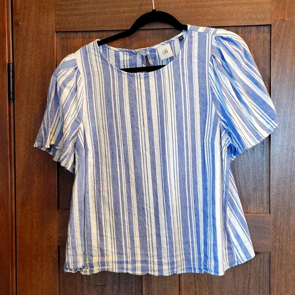 Cabi Blue and White Blouse